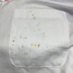 10962251_786974378048020_2117859458_n