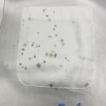 10966608_786923644719760_1044454634_n