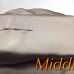 15748348_1225616257517161_1750739429_o